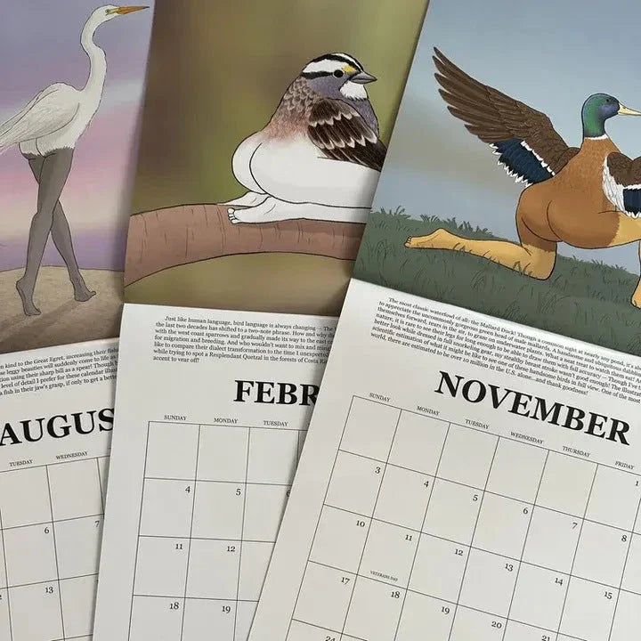 2024 wall calendar with beautiful, realistic illustrations of various bird species