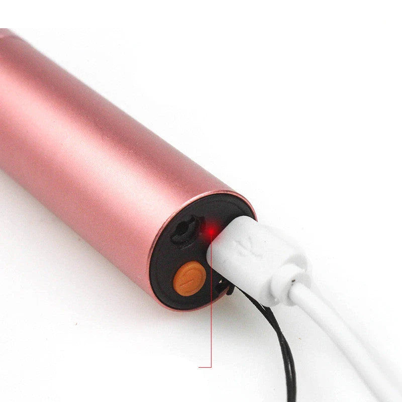 Compact UV cat ringworm detector with aluminium alloy construction and dual-function diagnostic capabilities
