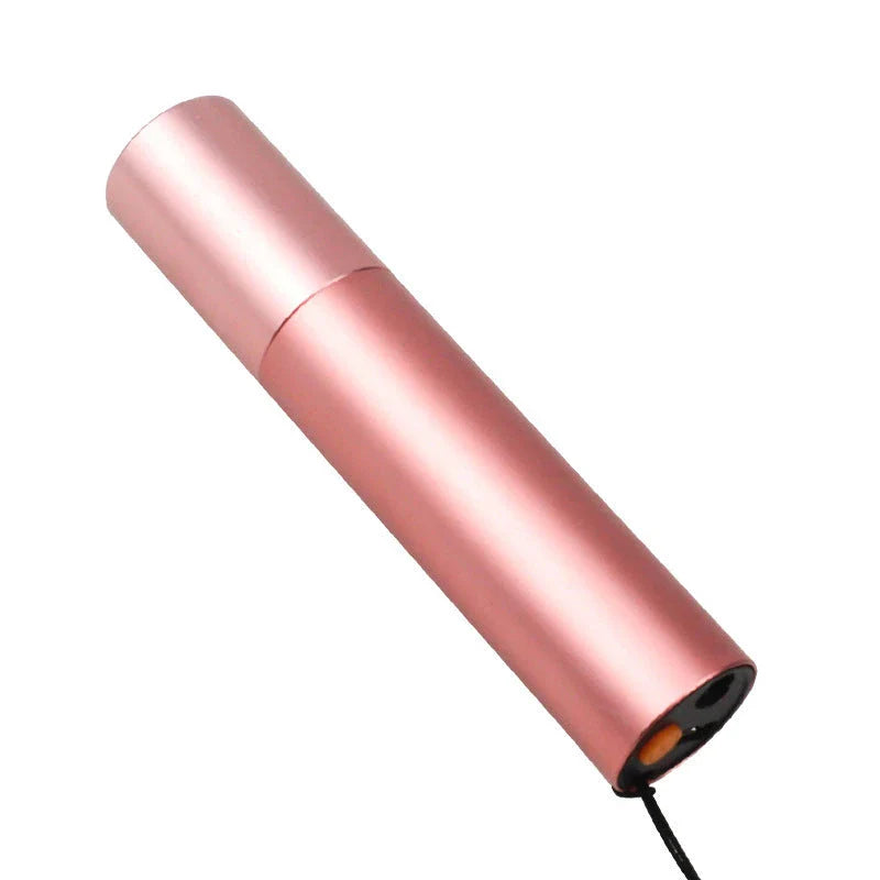 Compact UV cat ringworm detector with aluminium alloy construction and dual-function diagnostic capabilities