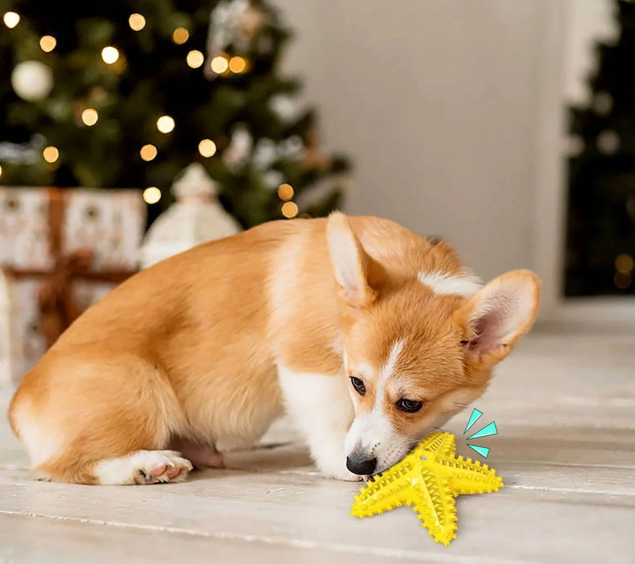 Starfish Vocal Pet Dog Toy Molar Stick in various colors for dental health