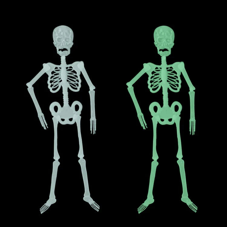Eerie glow-in-the-dark Halloween skeleton display prop with realistic details and luminous effect