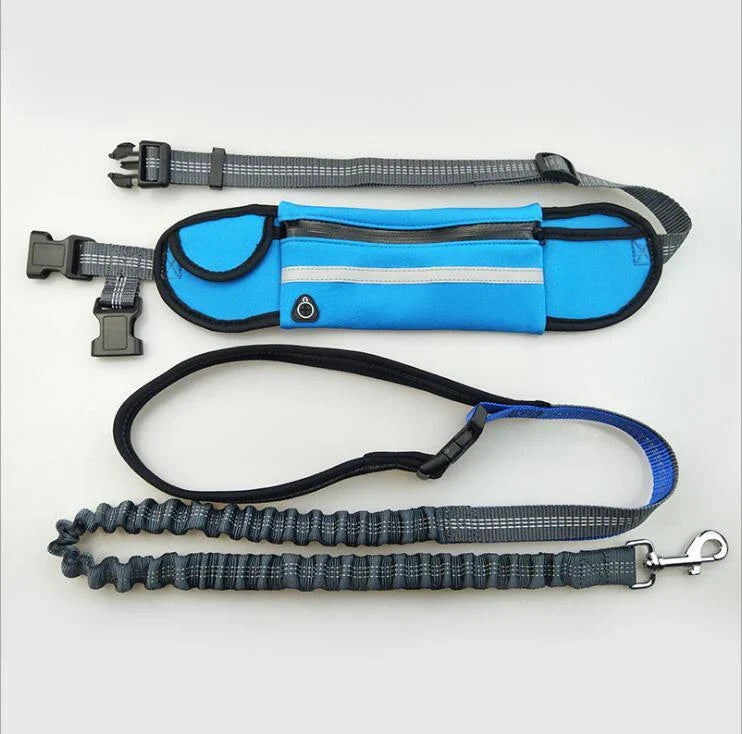 Premium hands-free dog running leash with waterproof waist bag, reflective stitching, and shock-absorbing bungee for safe and comfortable outdoor adventures.