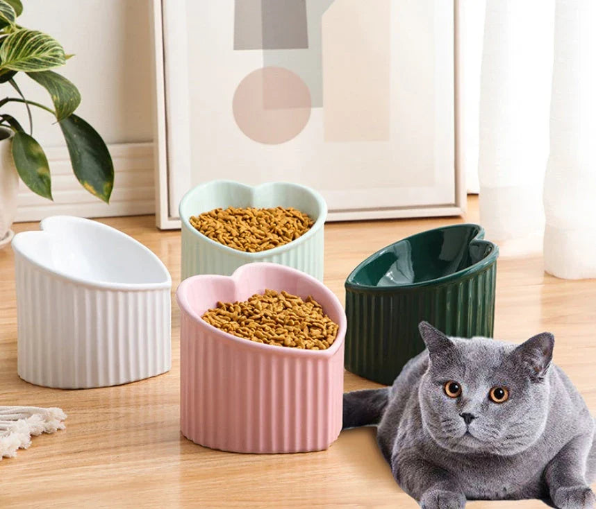 Elevated ceramic pet bowl with angled design for comfortable, natural feeding of cats and dogs