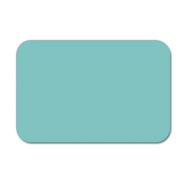 Premium diatomite absorbent foot pad with customized fit and superior moisture-wicking technology