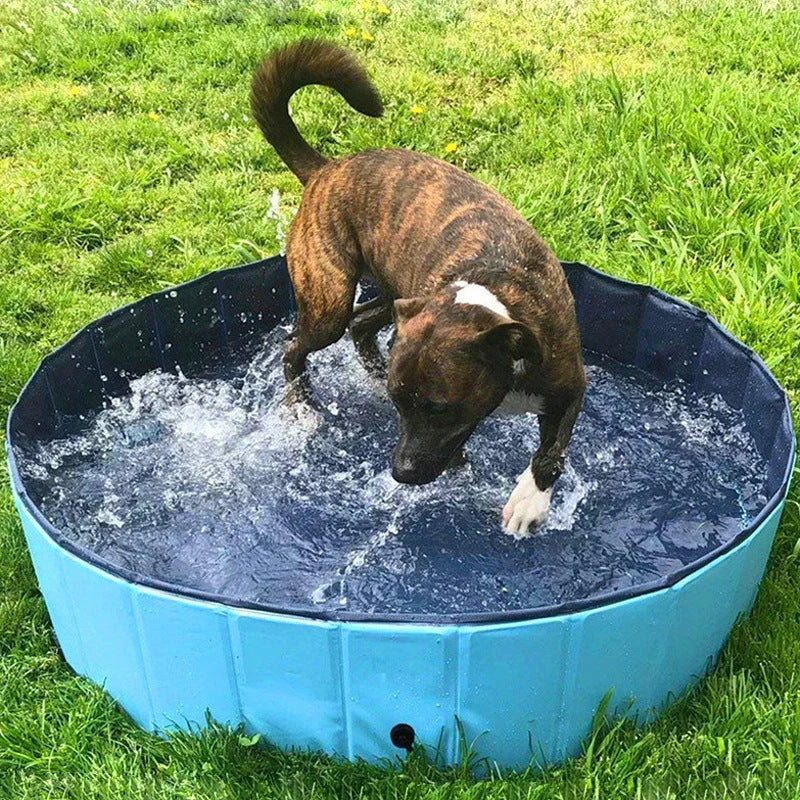 Collapsible dog pool with drain for easy pet bathing and cooling