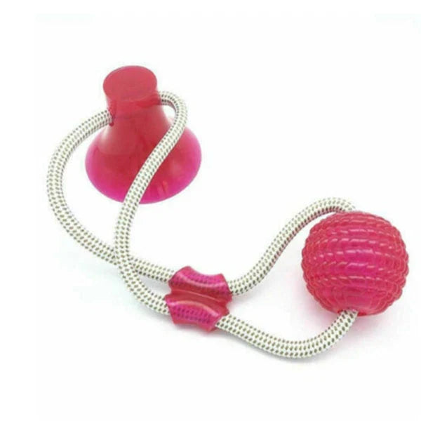 Durable, colourful chew toy with unique sucker design for dogs to play and maintain dental health