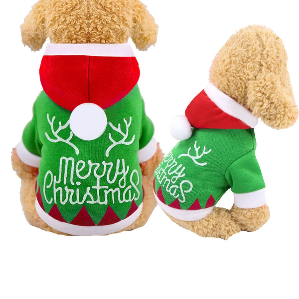 Stylish pet clothing made of high-quality acrylic material in a variety of designs to keep your furry friend comfortable and fashionable.