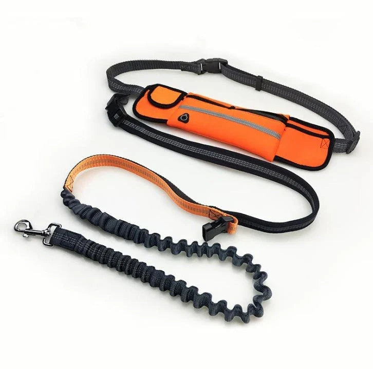 Premium hands-free dog running leash with waterproof waist bag, reflective stitching, and shock-absorbing bungee for safe and comfortable outdoor adventures.