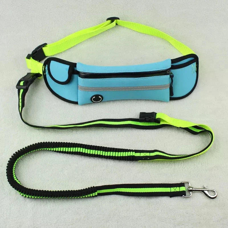 Versatile dog walking bag with waterproof material, reflective traction leash, and adjustable waist design for convenient and safe daily dog walks