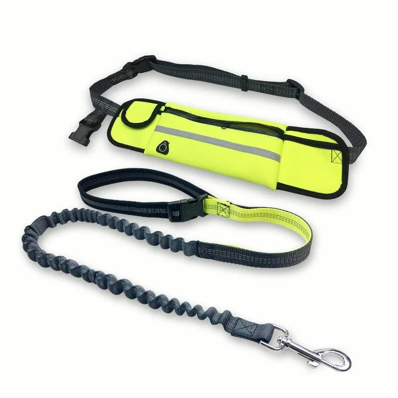 Premium hands-free dog running leash with waterproof waist bag, reflective stitching, and shock-absorbing bungee for safe and comfortable outdoor adventures.