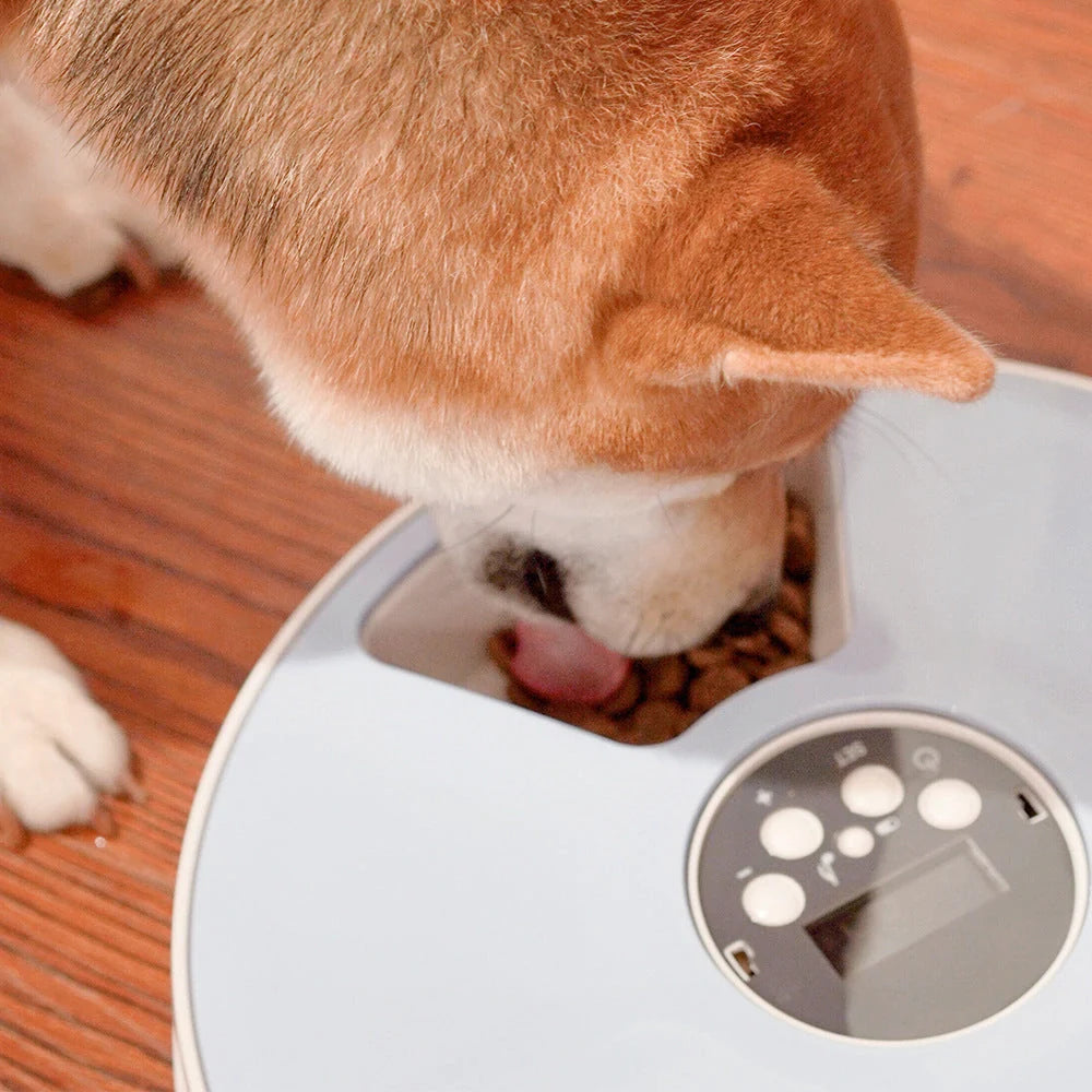 Automatic pet feeder with six meal trays and voice recorder