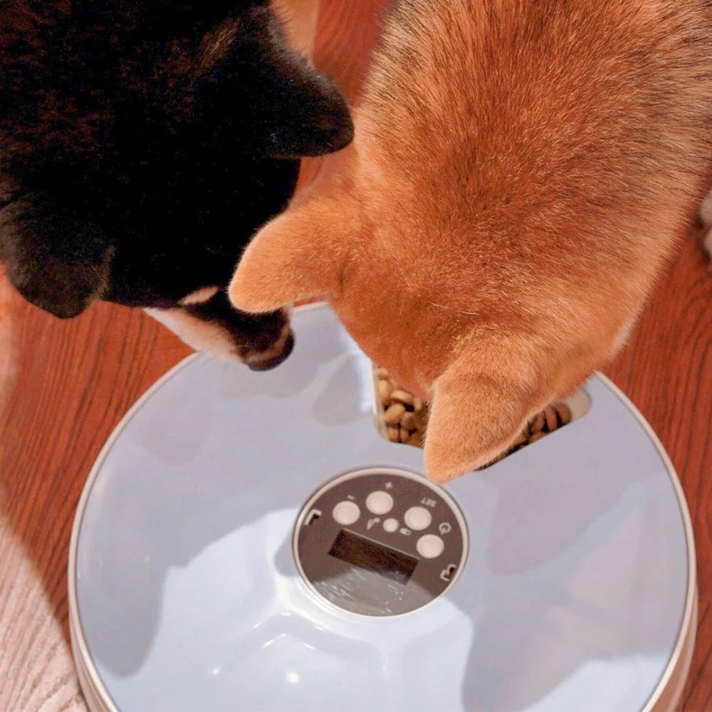 Automatic pet feeder with six meal trays and voice recorder