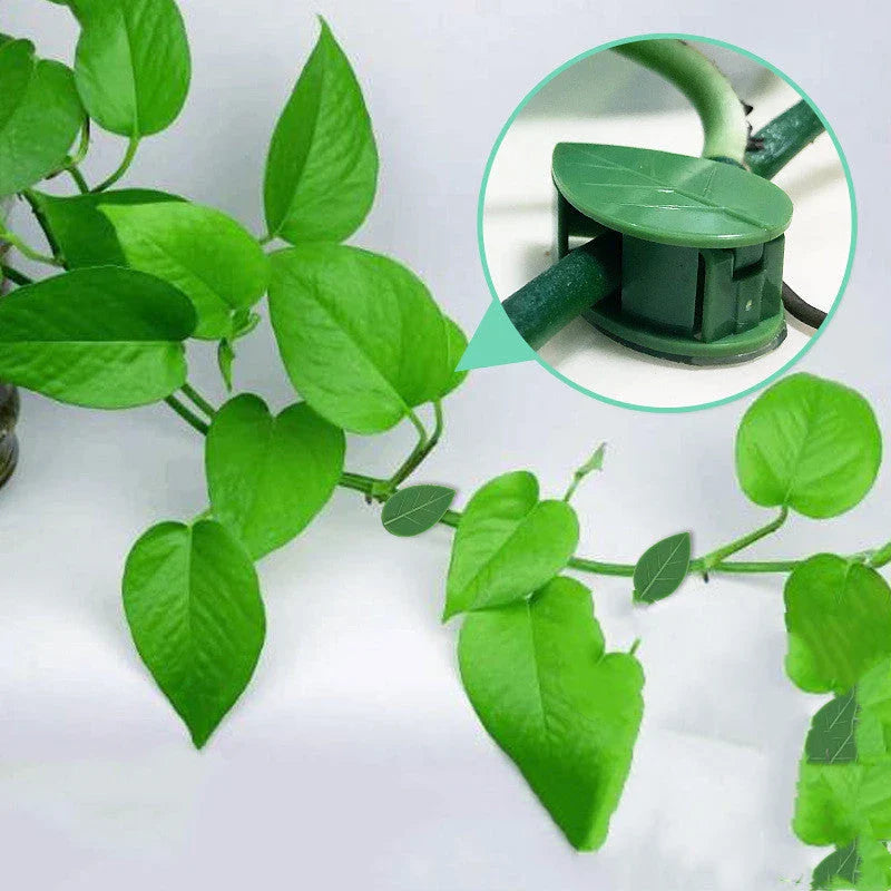 Versatile leaf-shaped plant clips in green, designed to provide discreet and effective support for climbing vines and potted plants