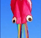 Premium 13ft Octopus Kite with durable handle and vibrant, eye-catching design for outdoor fun and summer adventures