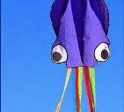 Premium 13ft Octopus Kite with durable handle and vibrant, eye-catching design for outdoor fun and summer adventures