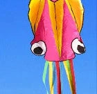 Premium 13ft Octopus Kite with durable handle and vibrant, eye-catching design for outdoor fun and summer adventures