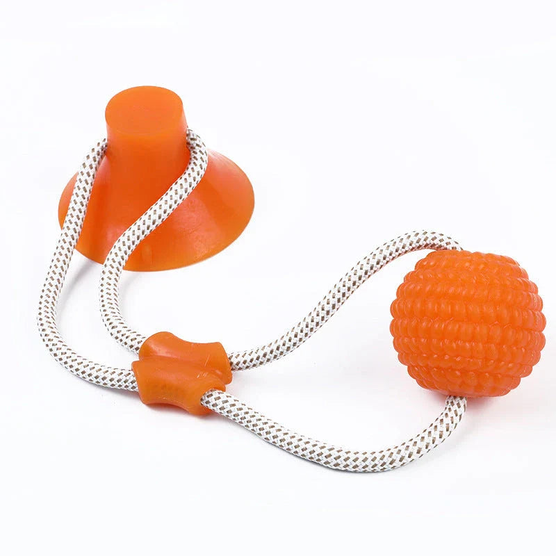 Durable, colourful chew toy with unique sucker design for dogs to play and maintain dental health