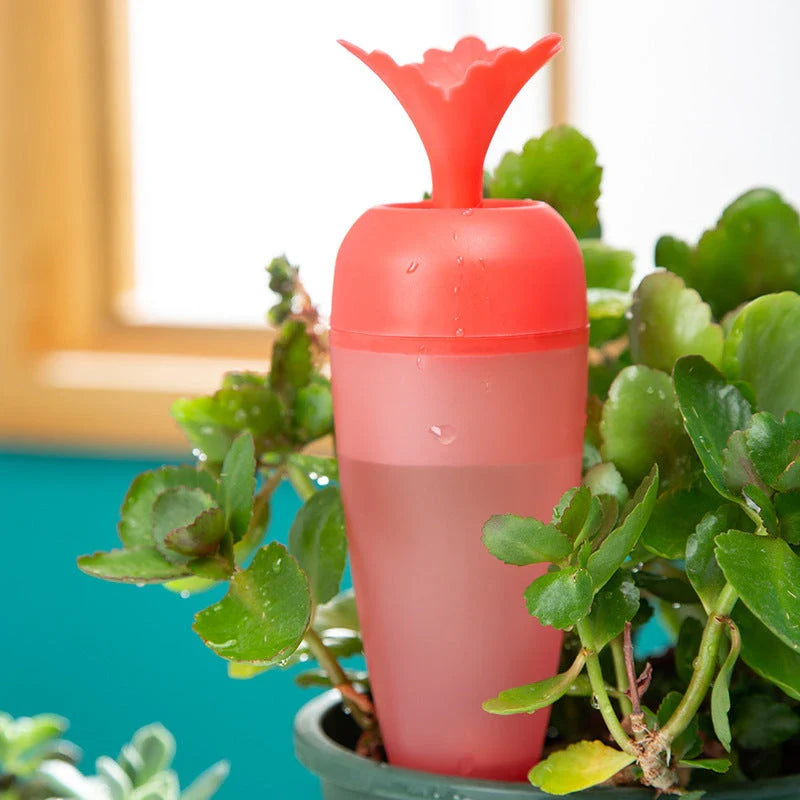 Automatic self-watering plant globes in blue and red colors with transparent design and terracotta bottom