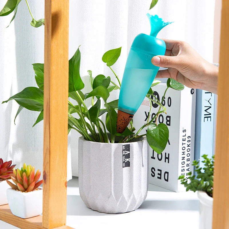 Automatic self-watering plant globes in blue and red colors with transparent design and terracotta bottom