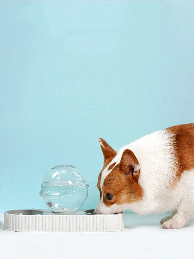 Premium automatic pet water dispenser with integrated food storage, non-toxic materials, and large 2.8L capacity for hassle-free hydration