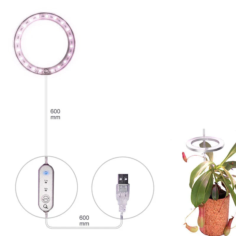 Full Spectrum LED Grow Light with Sleek, Modern Design for Indoor Plant Cultivation