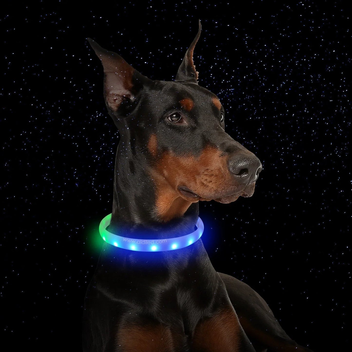 USB rechargeable flash collar for dogs with adjustable silicone necklace in white
