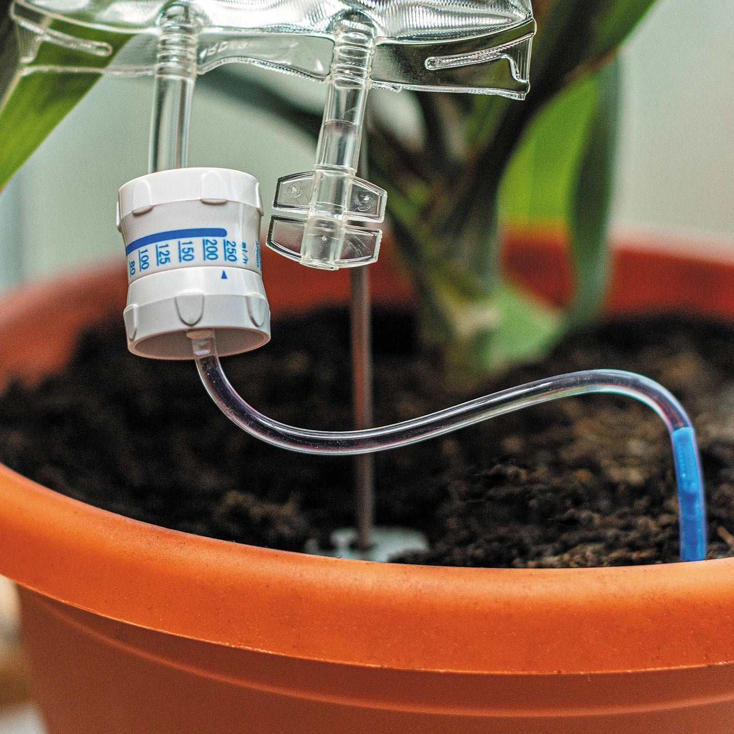 Premium drip-feed plant watering bag in transparent color, designed for indoor gardening and travel