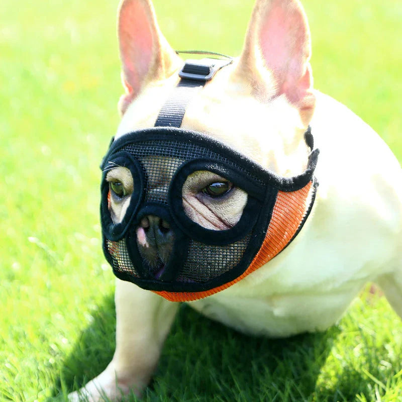 Adjustable breathable dog muzzle in various colours and sizes for flat-faced breeds like French Bulldogs