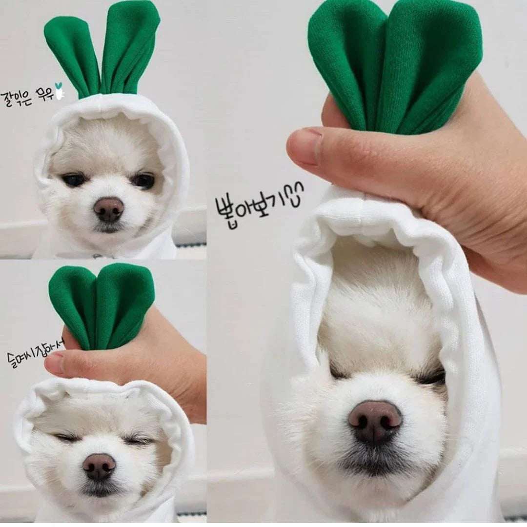 Adorable fruit-themed dog hoodies in a variety of sizes for small breeds, providing cozy and stylish winter warmth