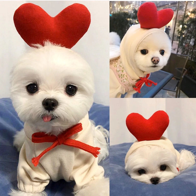 Adorable Fruit-Themed Dog Hoodies for Small Breeds