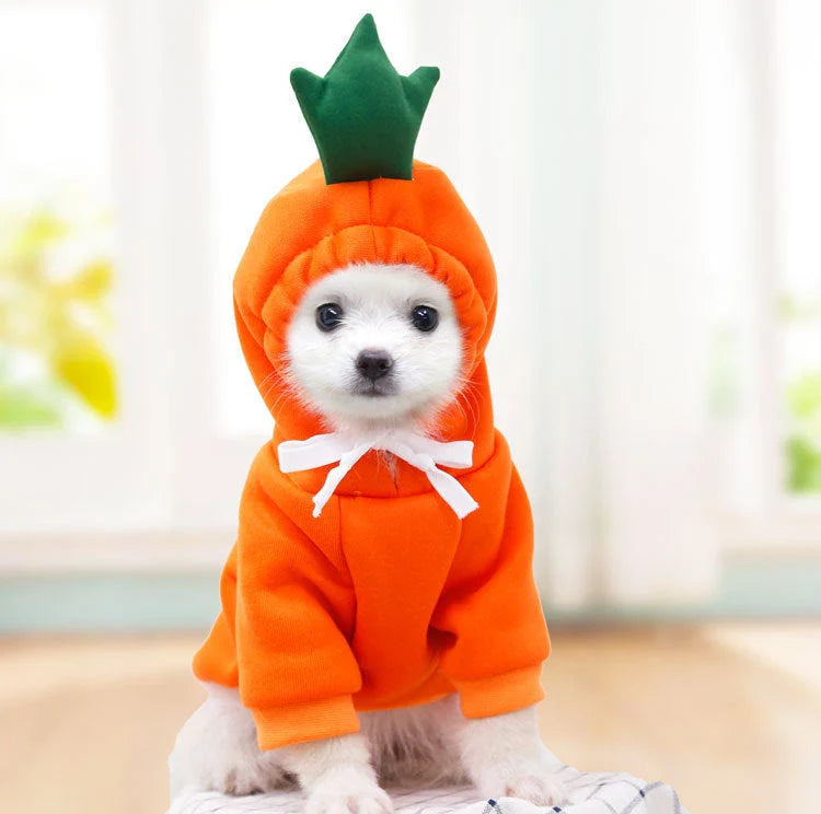 Adorable fruit-themed dog hoodies in a variety of sizes for small breeds, providing cozy and stylish winter warmth