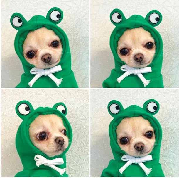 Adorable fruit-themed dog hoodies in a variety of sizes for small breeds, providing cozy and stylish winter warmth