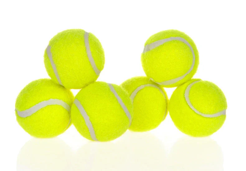 Automatic Dog Ball Launcher with 3 distance settings, keeping dogs active and entertained for hours