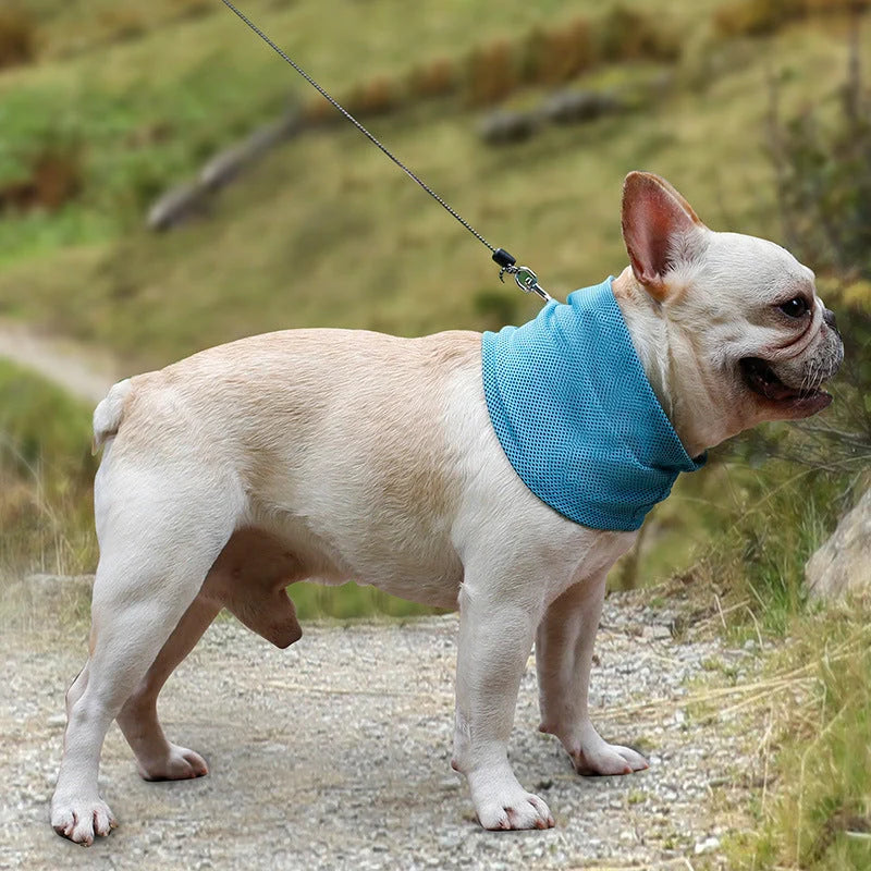 Blue instant cooling pet bandana for dogs, perfect for summer heatstroke prevention