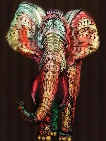 Vibrant African Girl Shower Curtain for Stylish Bathroom Decor