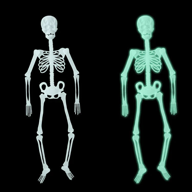 Eerie glow-in-the-dark Halloween skeleton display prop with realistic details and luminous effect