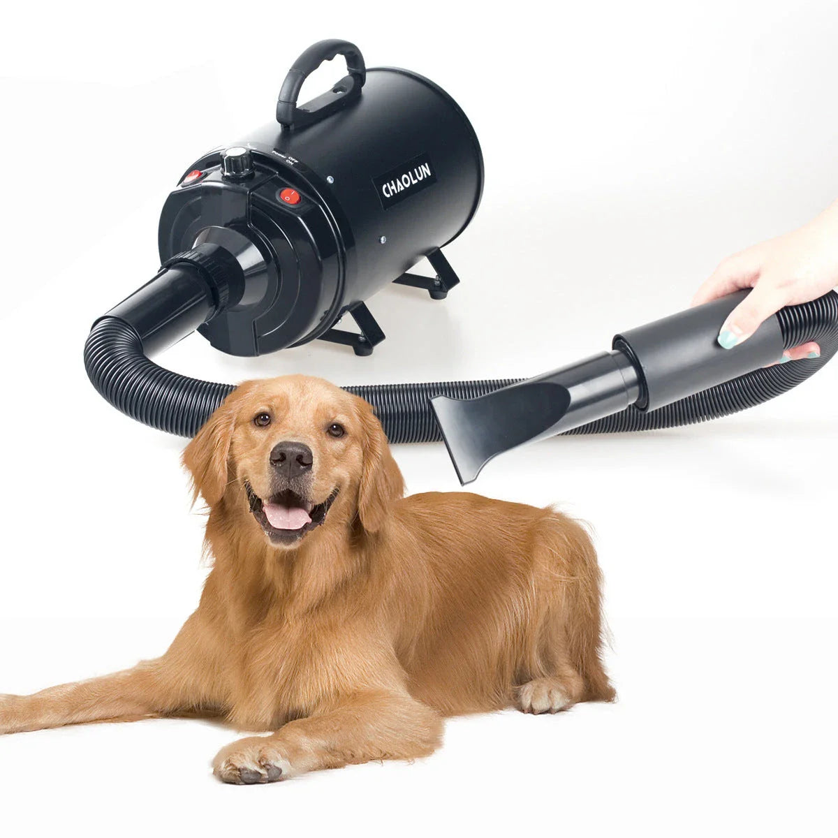 A high-powered, quiet pet hair dryer in various colors, designed for fast and efficient drying of dogs and cats.