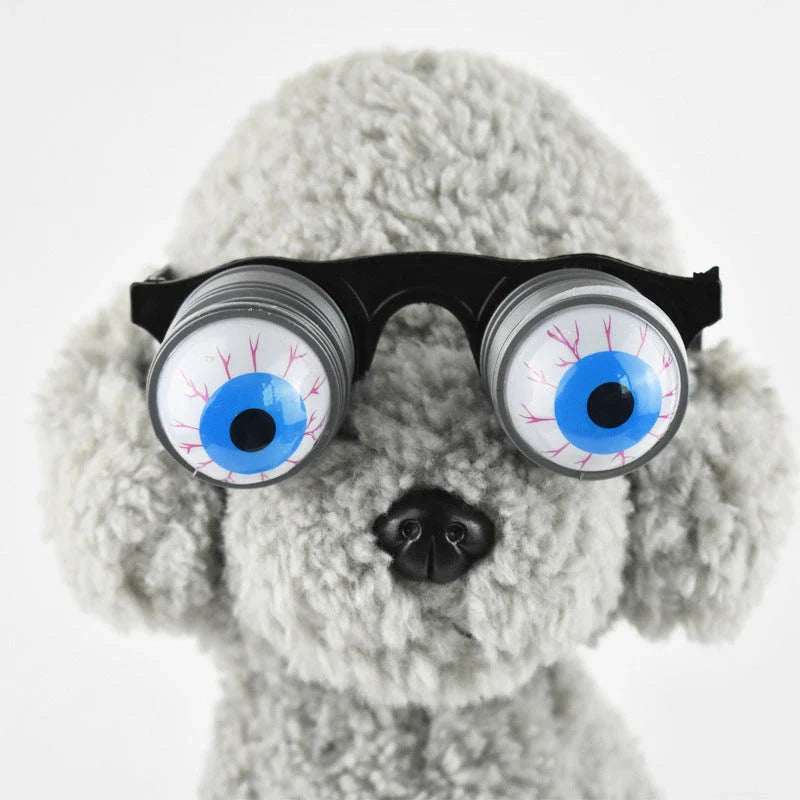 Stylish pet glasses with round lenses, ultra-thin alloy frames, and vibrant colours to dress up your furry friend.