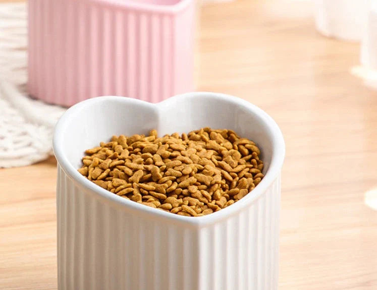 Elevated ceramic pet bowl with angled design for comfortable, natural feeding of cats and dogs