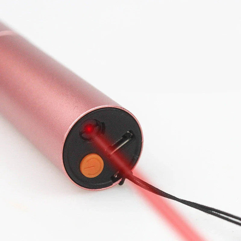 Compact UV cat ringworm detector with aluminium alloy construction and dual-function diagnostic capabilities