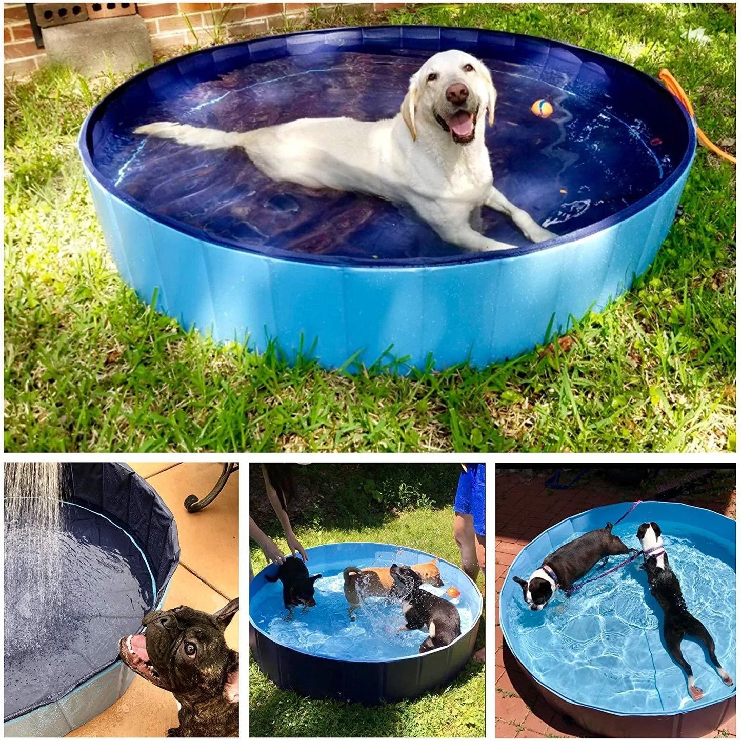 Collapsible dog pool with drain for easy pet bathing and cooling