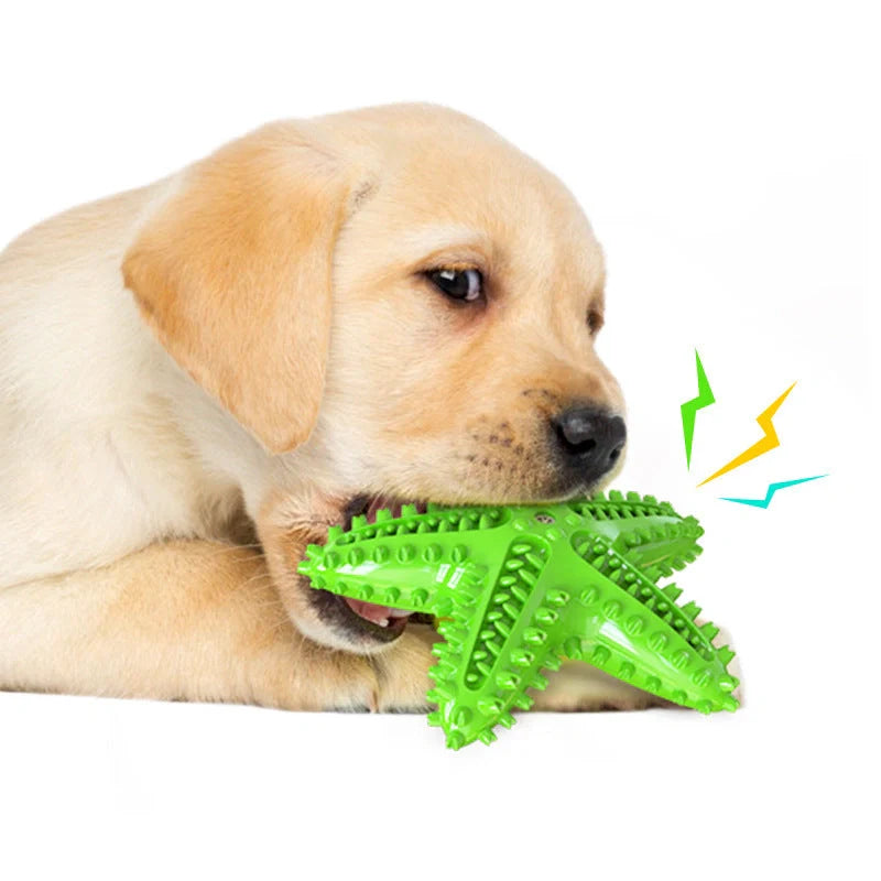 Starfish Vocal Pet Dog Toy Molar Stick in various colors for dental health
