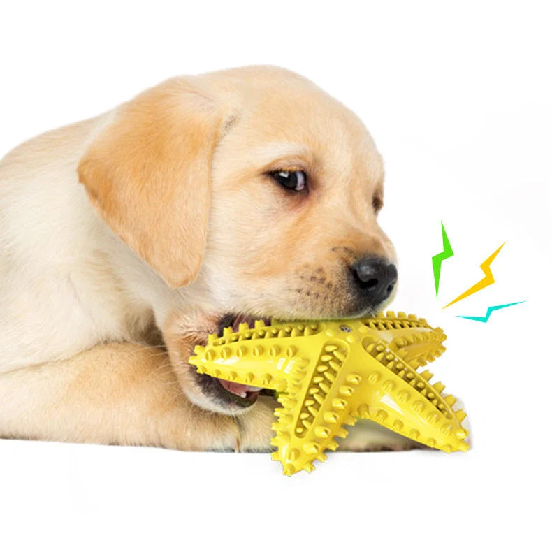 Starfish Vocal Pet Dog Toy Molar Stick in various colors for dental health