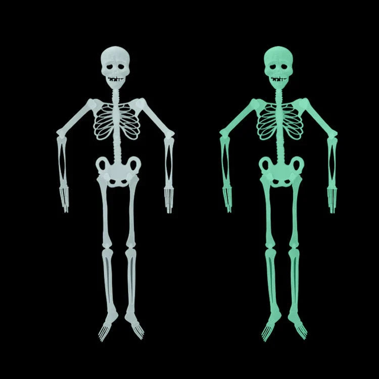 Eerie glow-in-the-dark Halloween skeleton display prop with realistic details and luminous effect