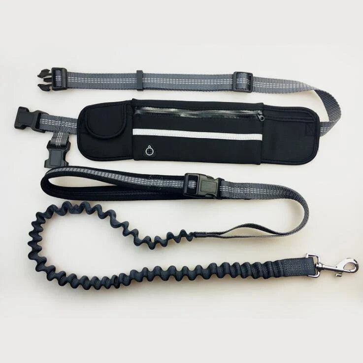 Premium hands-free dog running leash with waterproof waist bag, reflective stitching, and shock-absorbing bungee for safe and comfortable outdoor adventures.