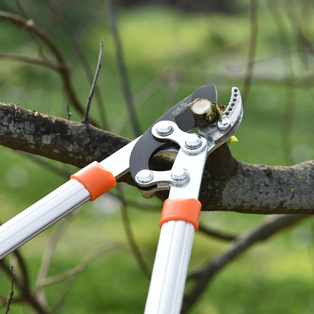 High-Efficiency Anvil Garden Shears with lever drive system, premium materials, and ergonomic design for effortless gardening tasks.