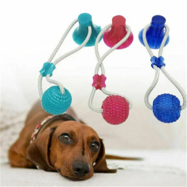 Durable, colourful chew toy with unique sucker design for dogs to play and maintain dental health