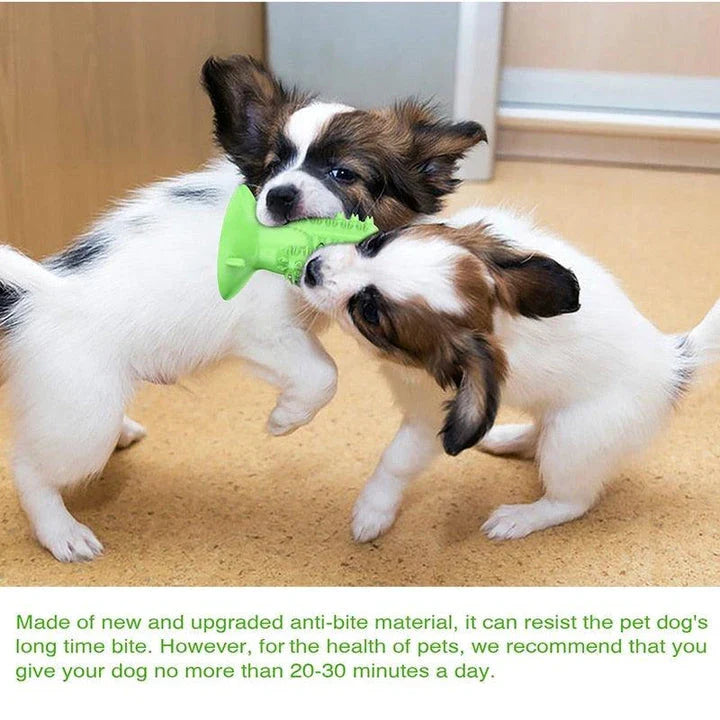 Chewing Toothbrush Toy for Dogs - Premium Dental Care Accessory in Yellow
