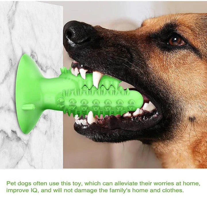 Chewing Toothbrush Toy for Dogs - Premium Dental Care Accessory in Yellow