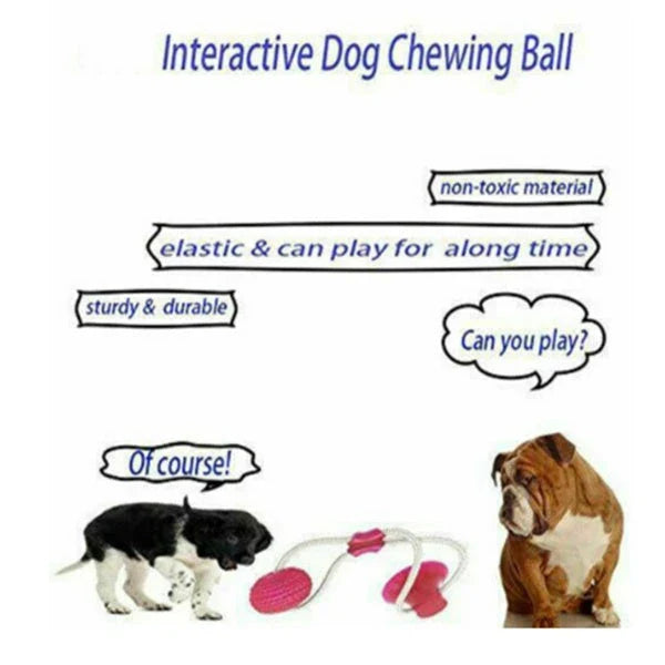 Durable, colourful chew toy with unique sucker design for dogs to play and maintain dental health